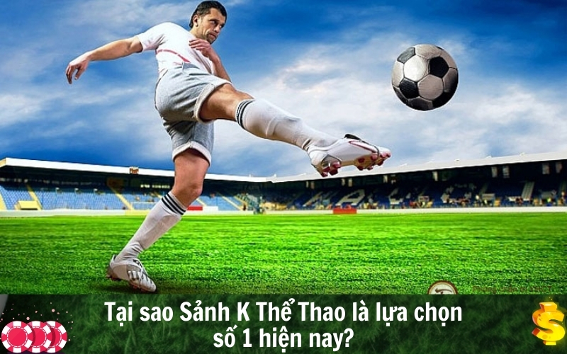 Tại sao Sảnh K Thể Thao là lựa chọn số 1 hiện nay