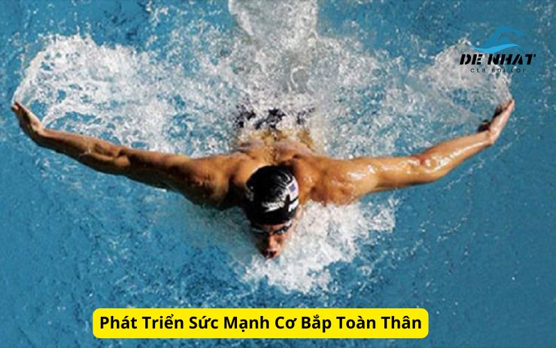 Phát Triển Sức Mạnh Cơ Bắp Toàn Thân