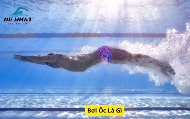 Bơi Ốc Là Gì