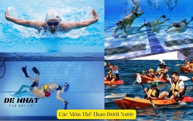 Các Môn Thể Thao Dưới Nước