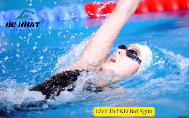 Cách Thở Khi Bơi Ngửa