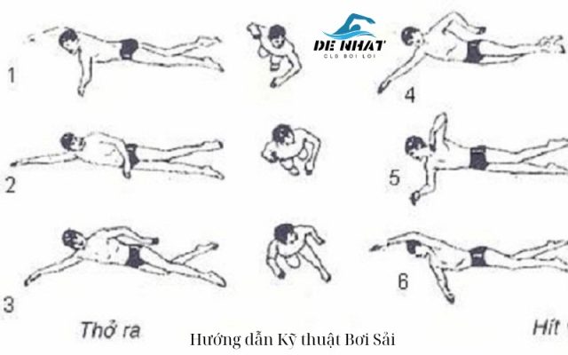 Hướng dẫn Kỹ thuật Bơi Sải