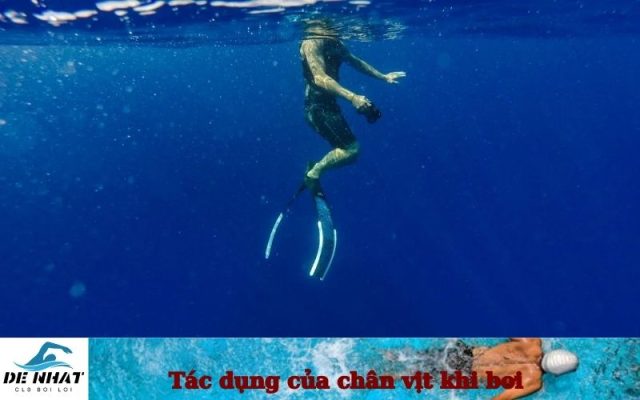 Tác dụng của chân vịt khi bơi