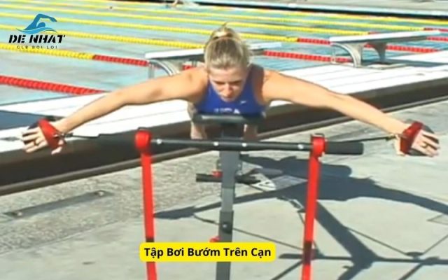 Tập Bơi Bướm Trên Cạn