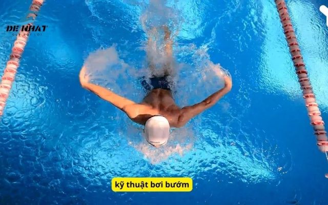 kỹ thuật bơi bướm